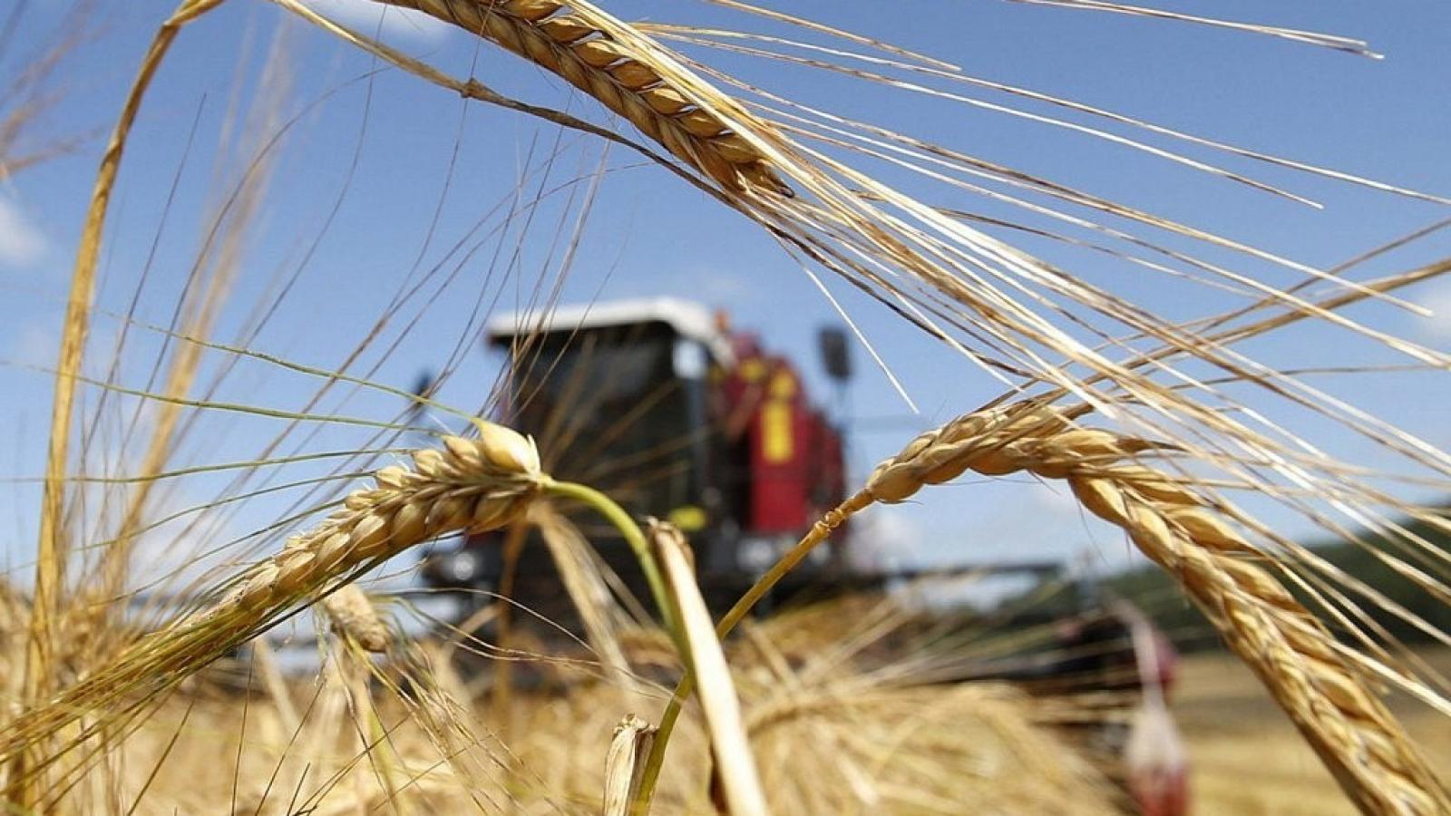 На поддержку сельского хозяйства в Вологодской области выделят больше 2 млрд рублей