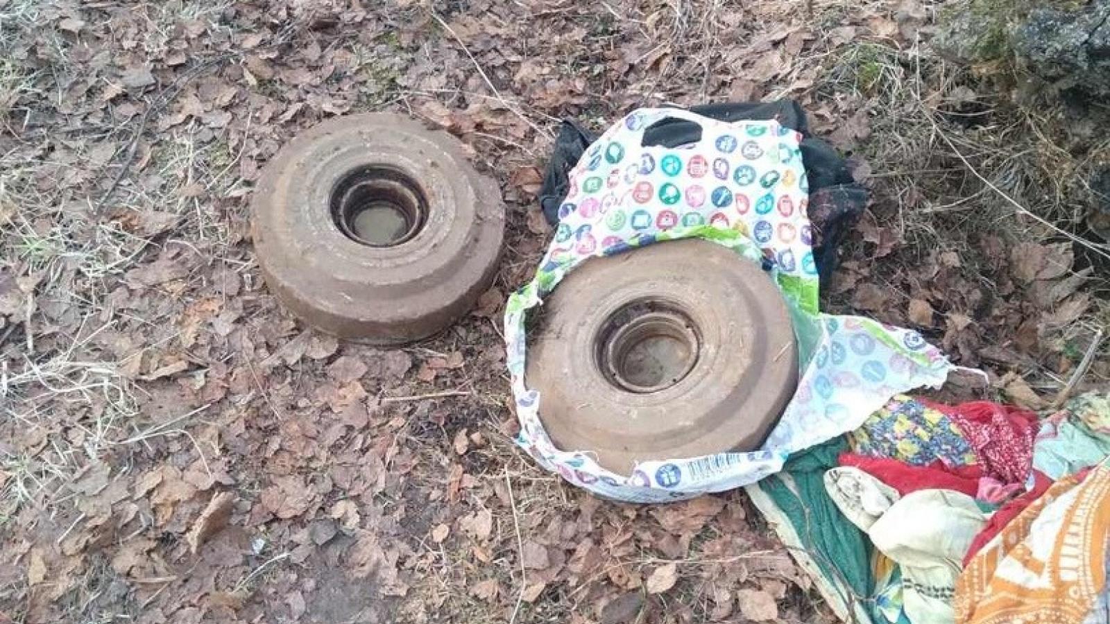В Вологодской области во время субботника нашли две мины