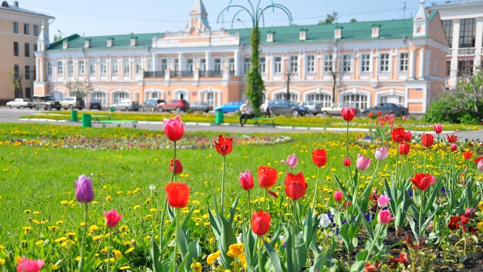 Свыше 209 тыс. цветов украсят улицы Вологды