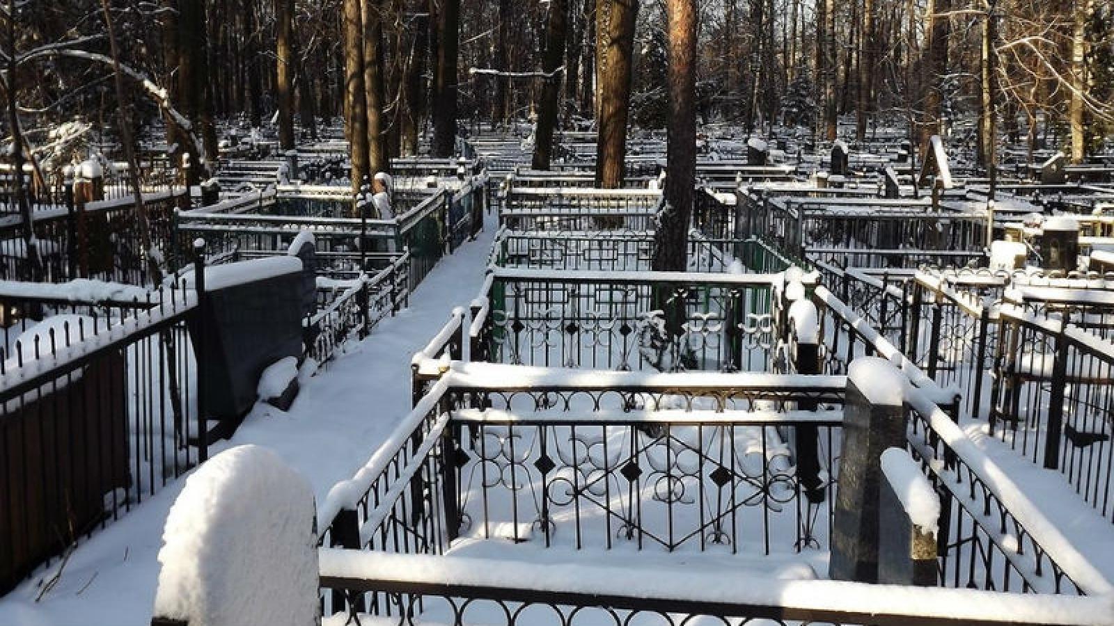 Проект Козицинского кладбища изменят