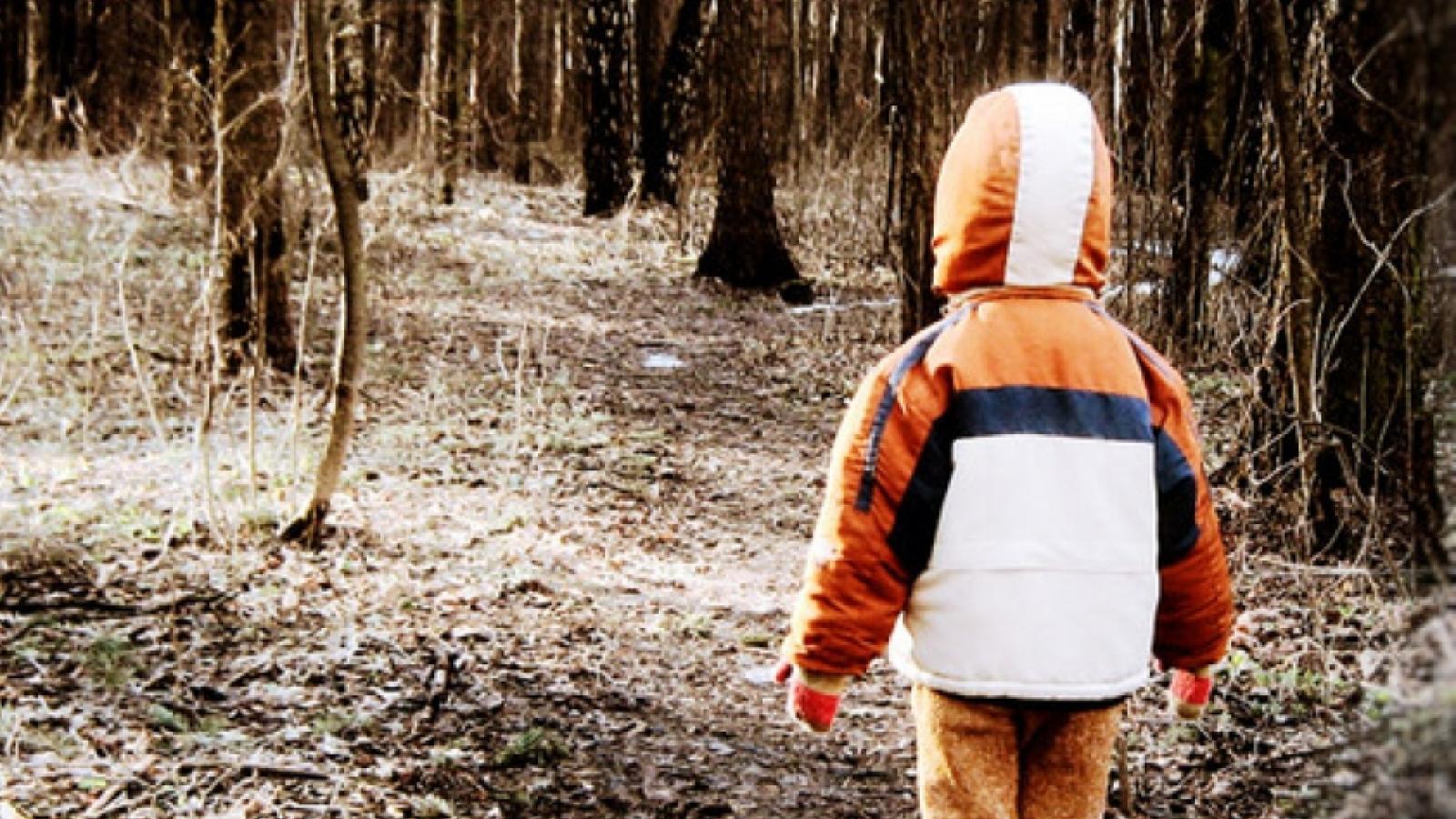 Люди потерявшие детей. Мальчик заблудился в лесу. Ребенок потерялся. Мальчик в лесу. Ребенок потерялся в лесу.