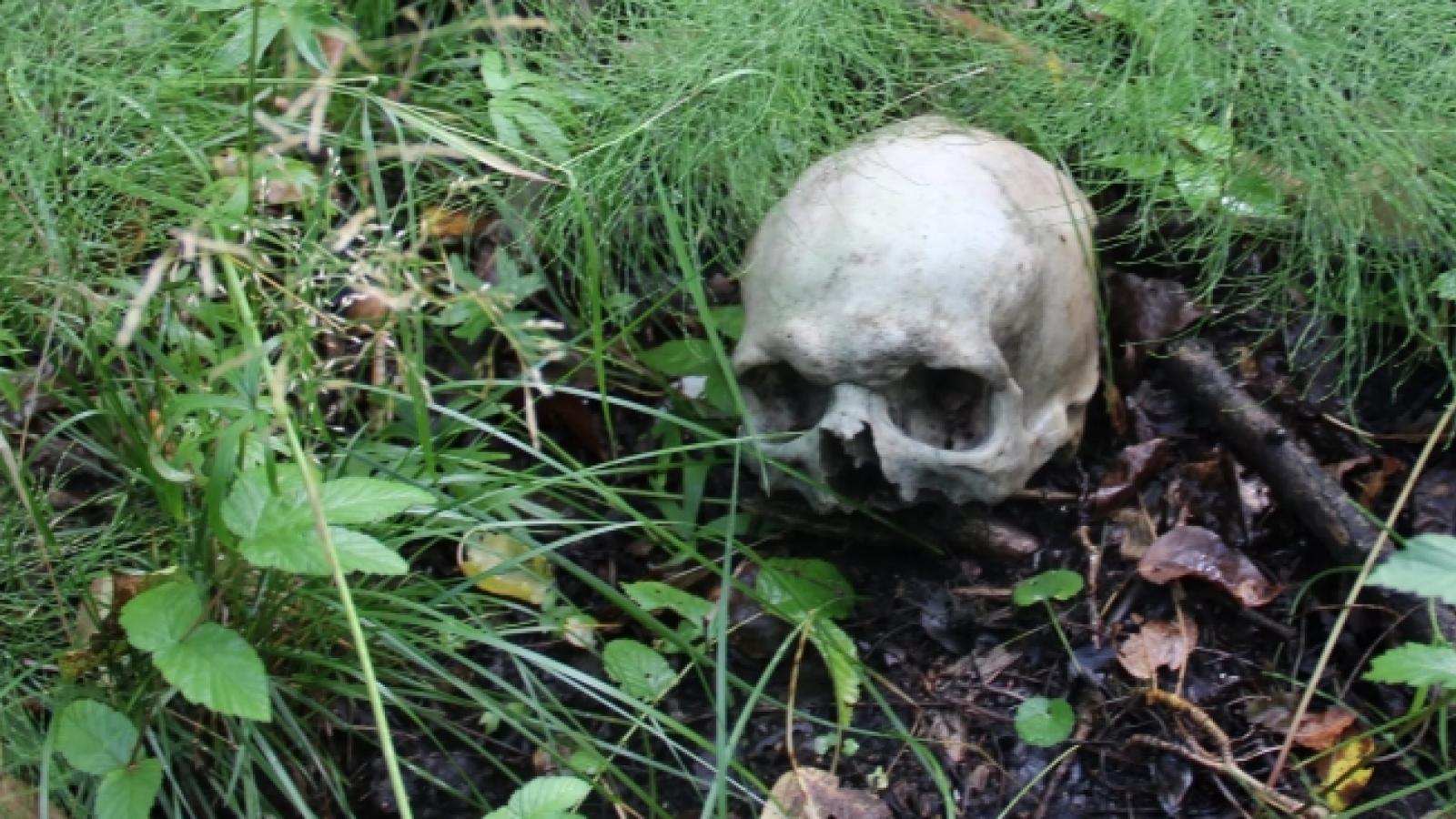 В Вологде нашли скелет с Библией