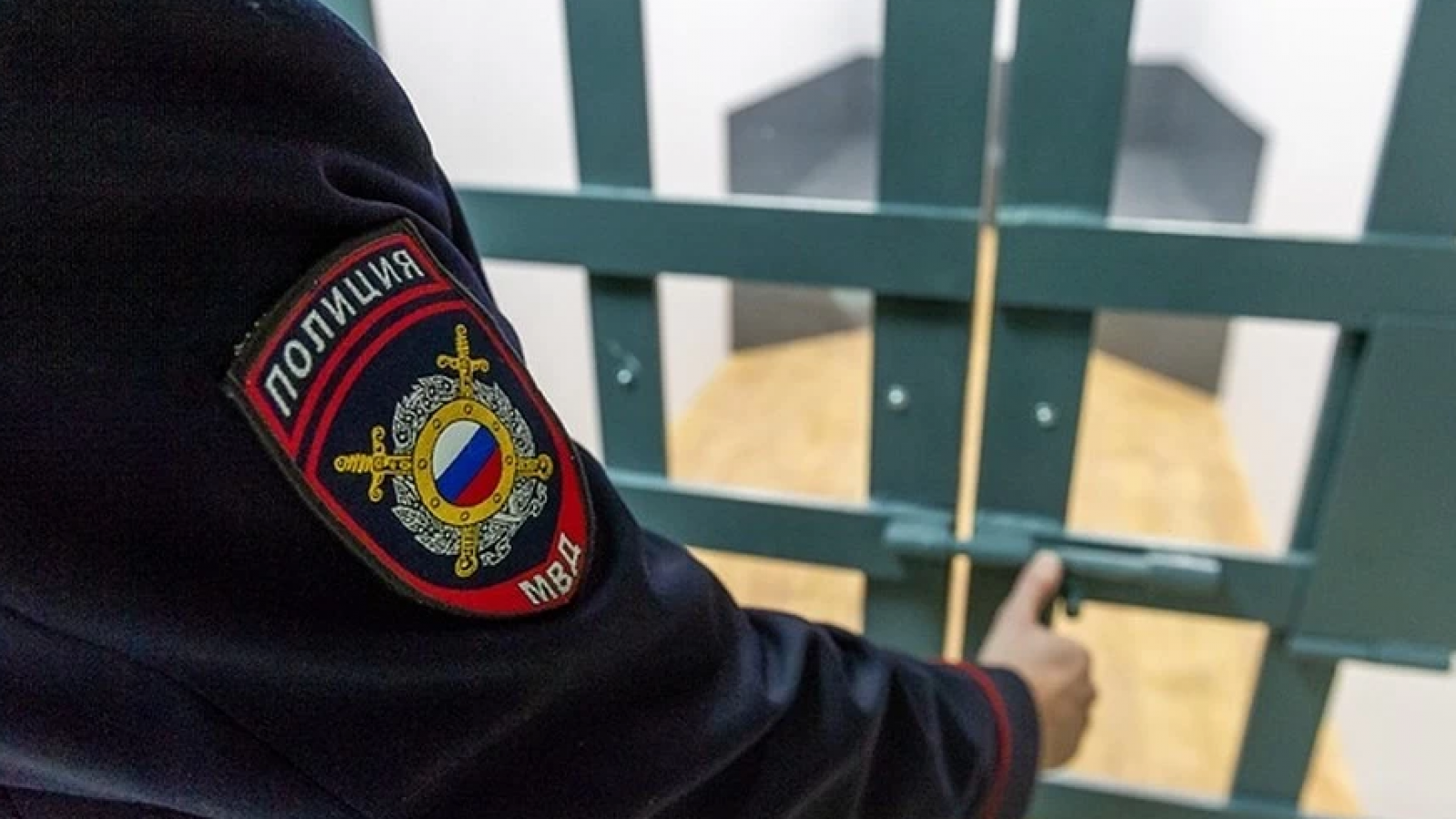Житель Вологодской области пнул полицейского