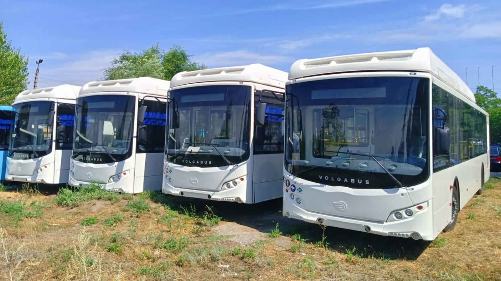 Для Вологды купили 18 новых автобусов