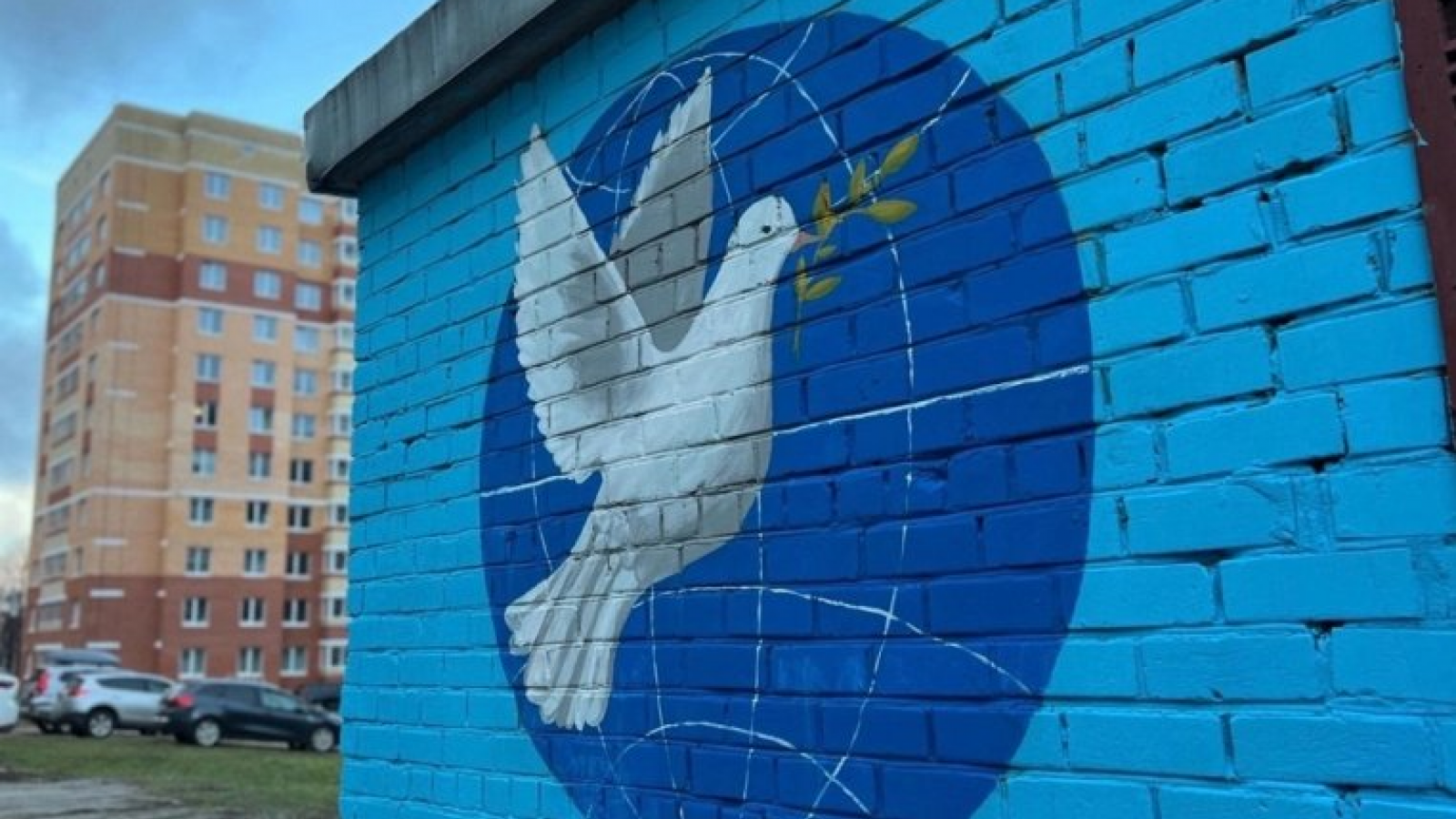 Участнику СВО не понравился голубь мира