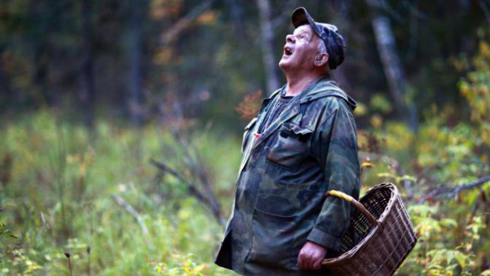 Число потерявшихся в лесах людей увеличилось в Вологодской области
