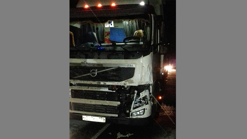 В Устюженском районе лось попал под колеса грузовика