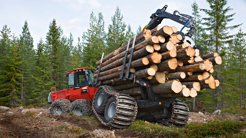 Бюджет пополнился на полмиллиарда рублей за счет лесного комплекса