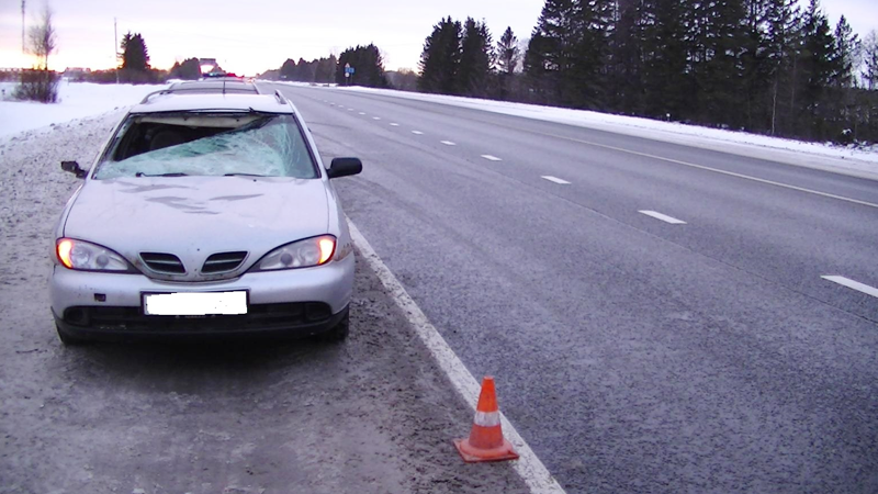 На трассе М-8 слетевшая с грузовика ледяная глыба пробила лобовое стекло легкового автомобиля
