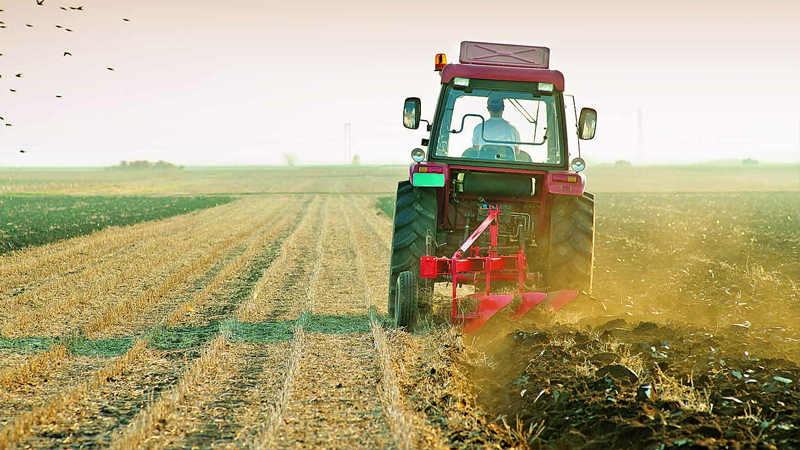 Стоимость выкупа сельскохозяйственных угодий хотят снизить в 5 раз