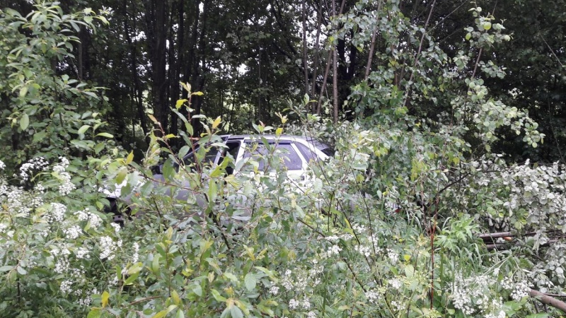 В Устюженском районе за рулем улетевшей в кювет легковушки нашли мертвого водителя 