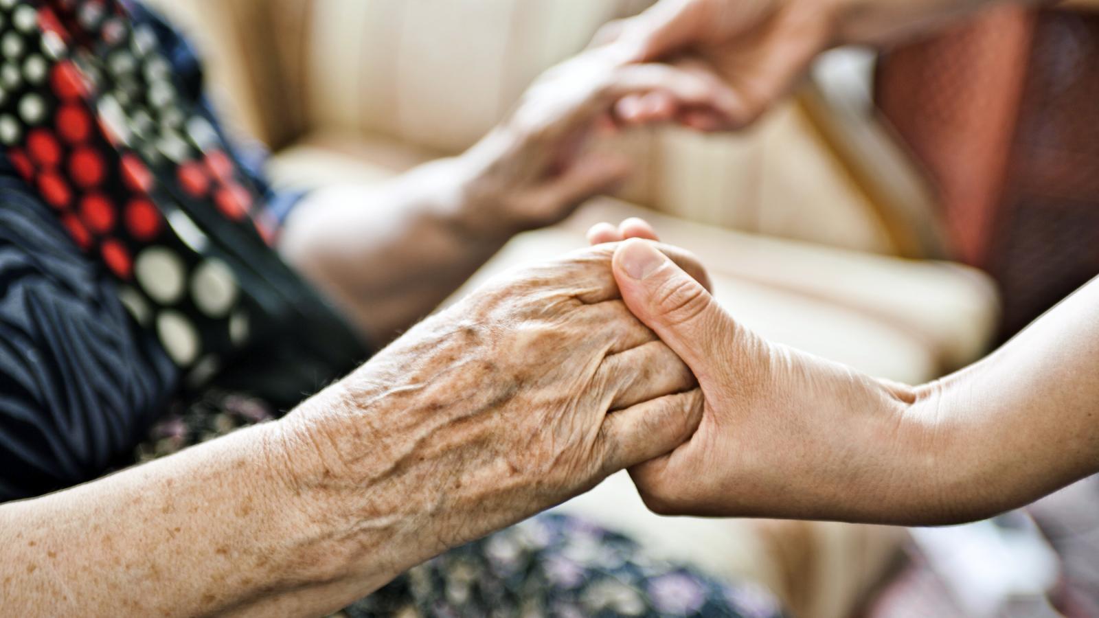Оздоровительные услуги для пенсионеров будут оказывать на дому