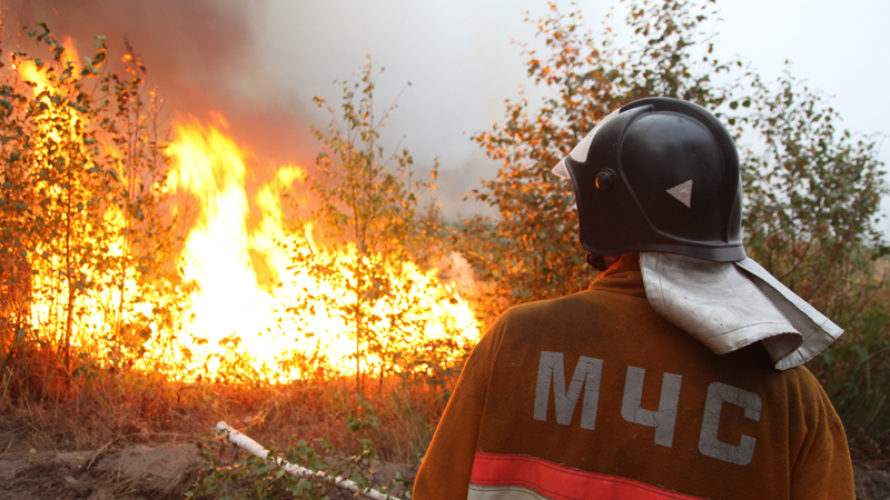 В Вологде зафиксировано около 300 возгораний с наступлением пожароопасного сезона
