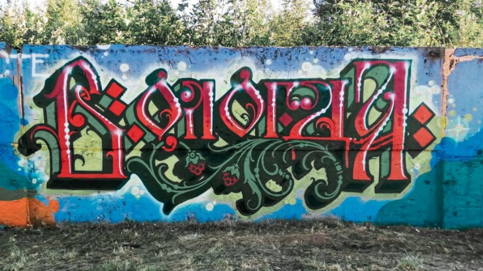 Уличные художники захватывают Вологду