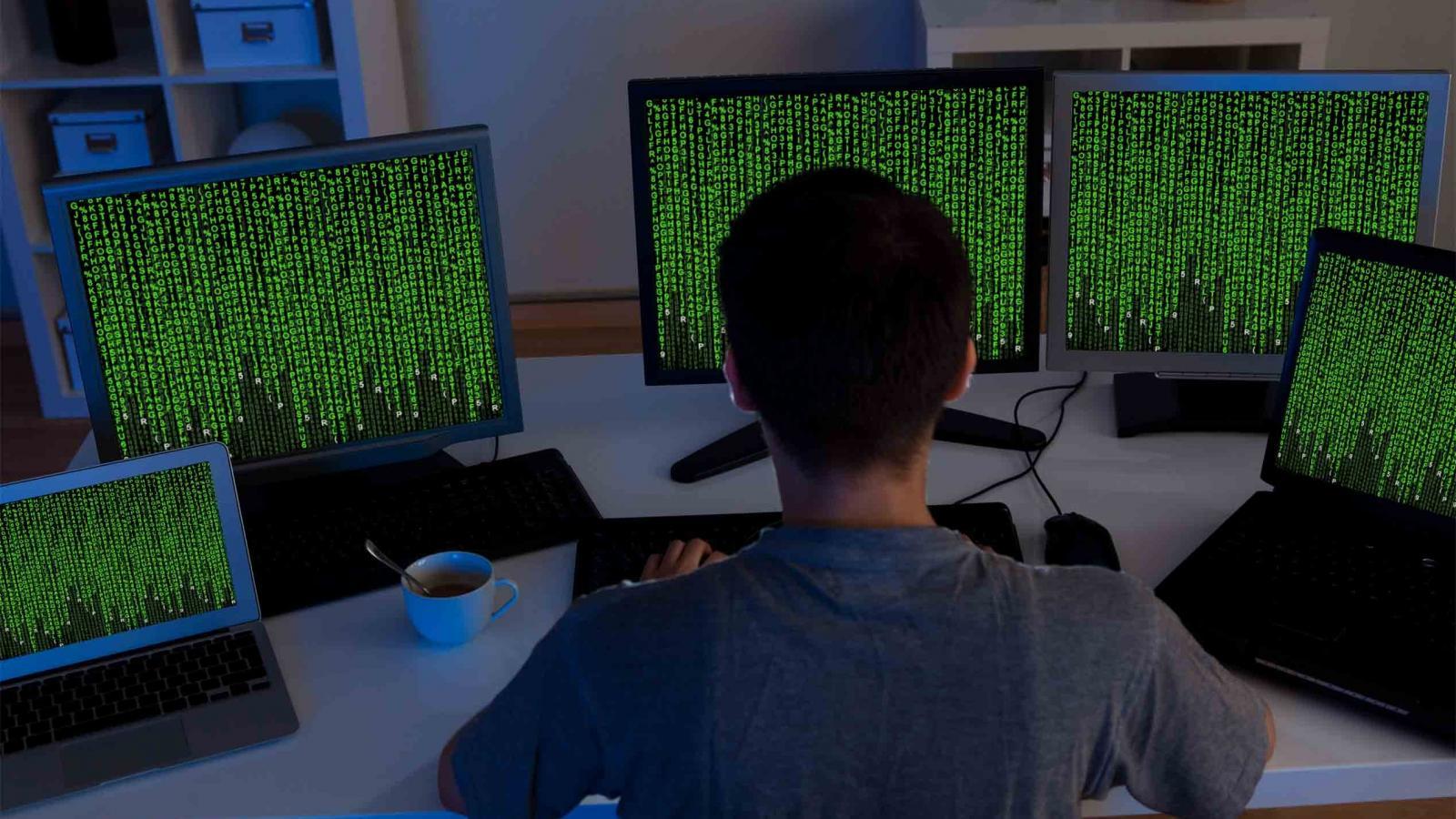 В Вологде задержали хакера, который продавал личные данные интернет-пользователей