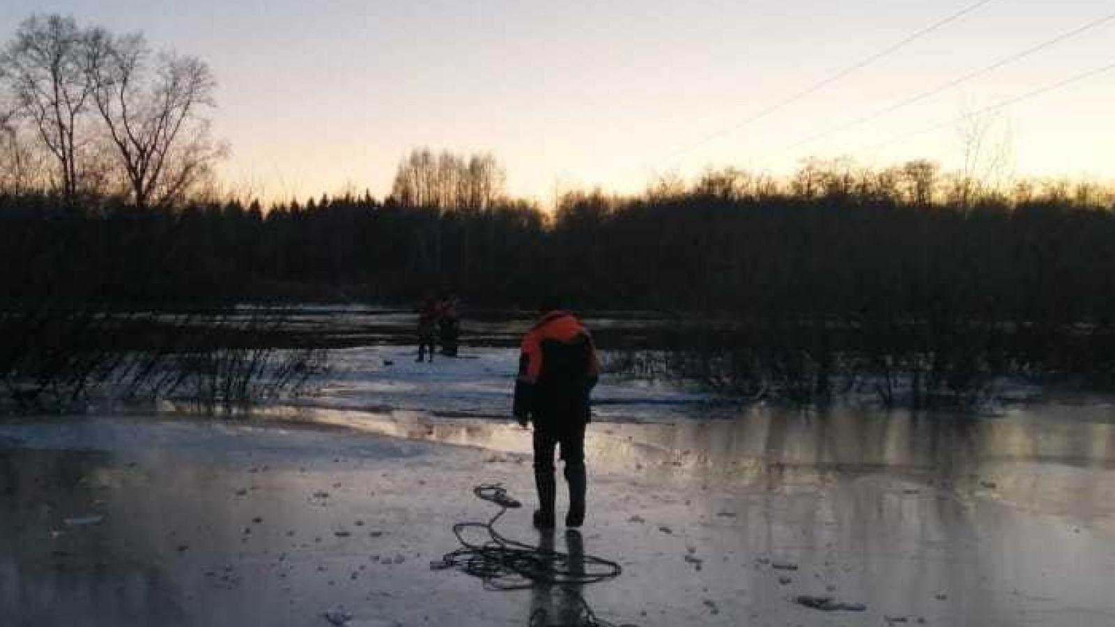 7-летний мальчик утонул в Вологде