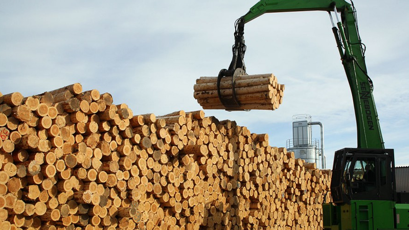 Новый лесопильный завод в Вологодской области обеспечит работой более 100 вологжан