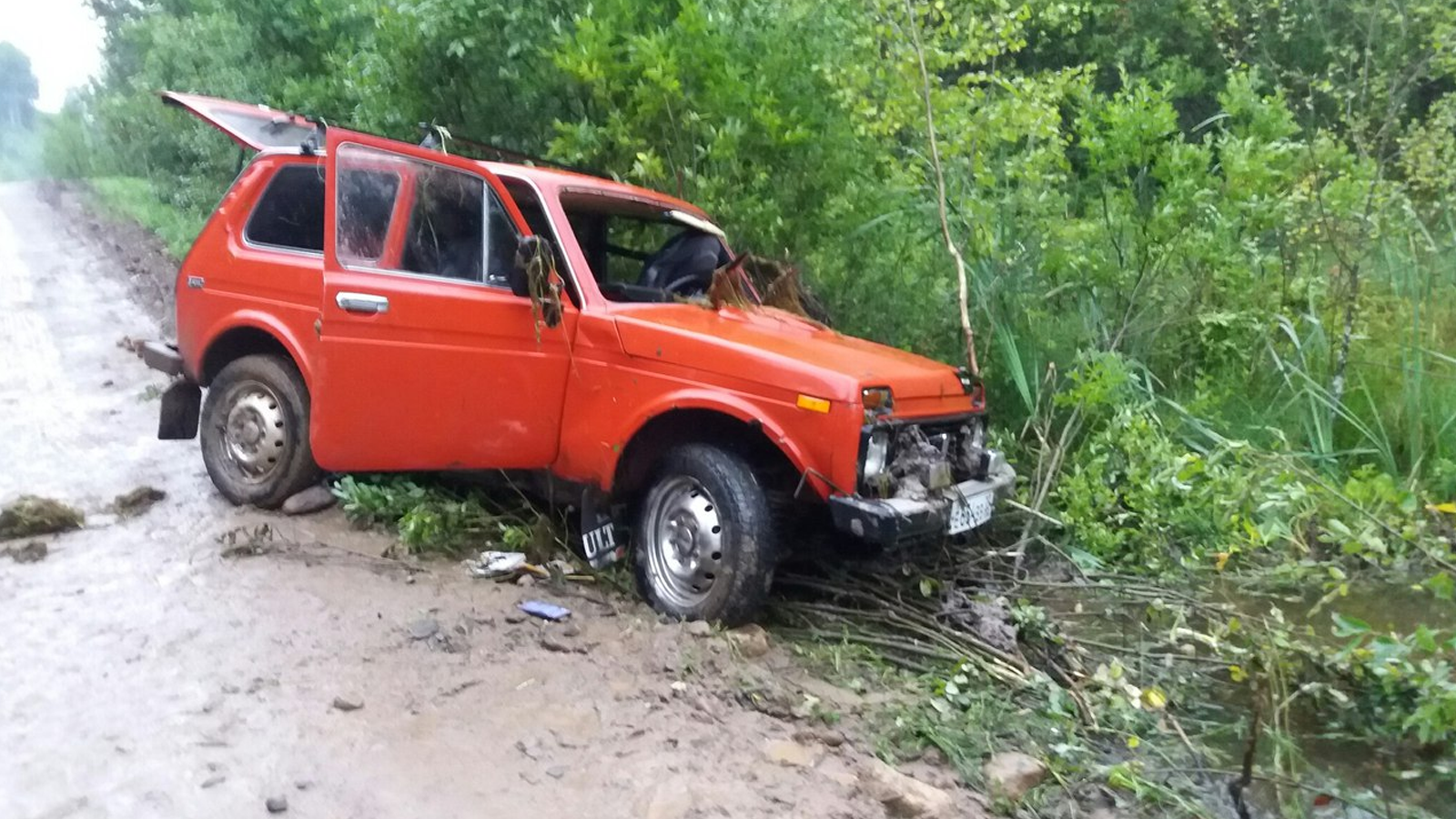 В Вытегорском районе легковушка опрокинулась в болото: водитель и пассажир утонули