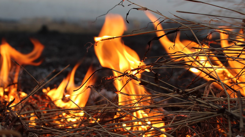В Вологодском районе 2 дня подряд горела солома