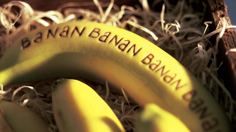 В Вологодском районе задержали грузовик с бананами