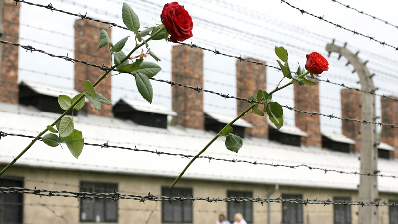 Бывшие несовершеннолетние узники концлагерей и гетто не получат бесплатное жилье 