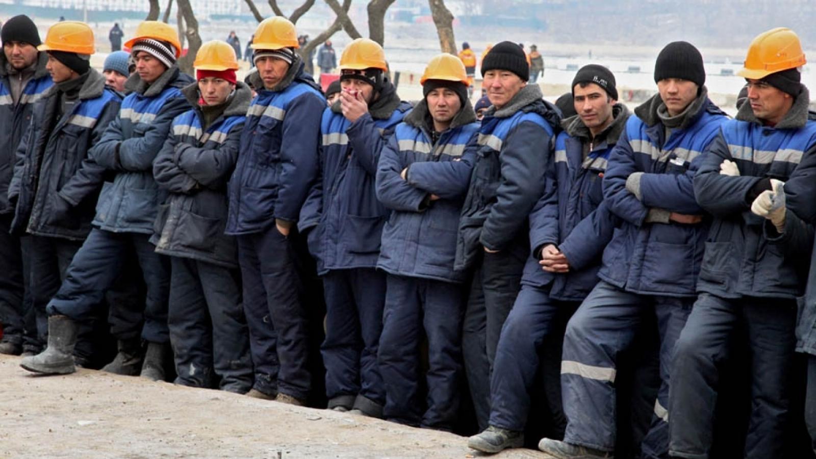 С 2019 года в России сократят количество работников-мигрантов в сфере строительства