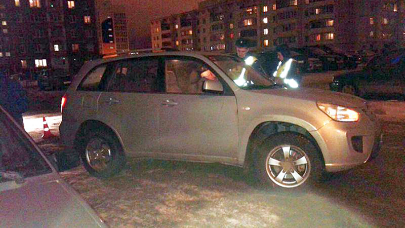 В Вологодской области женщина попала под машину, спасая собаку