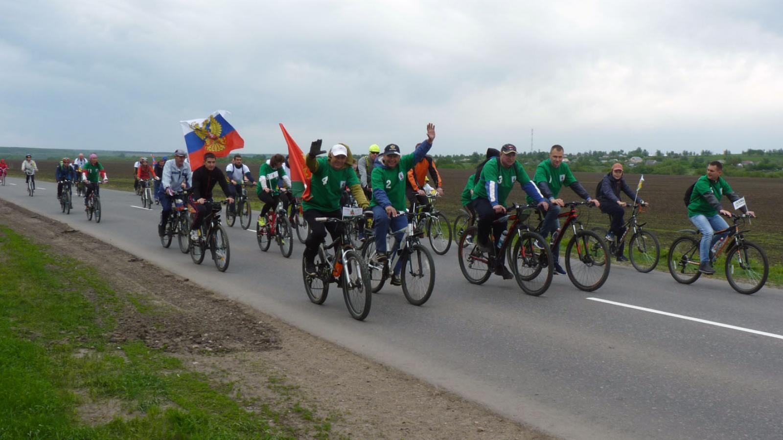 Празднование Ганзейских дней продолжается: Вологда присоединится к велопробегу Росток - Псков