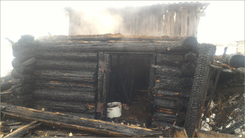 В Бабаевском районе при пожаре погибли домашние животные