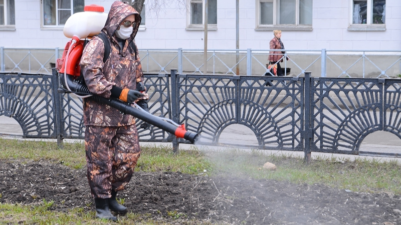 Противоклещевая обработка парков и скверов начнется в Вологде 15 апреля