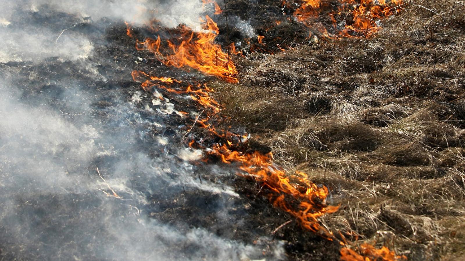 Объявлен оранжевый уровень пожарной опасности для Череповецкого района