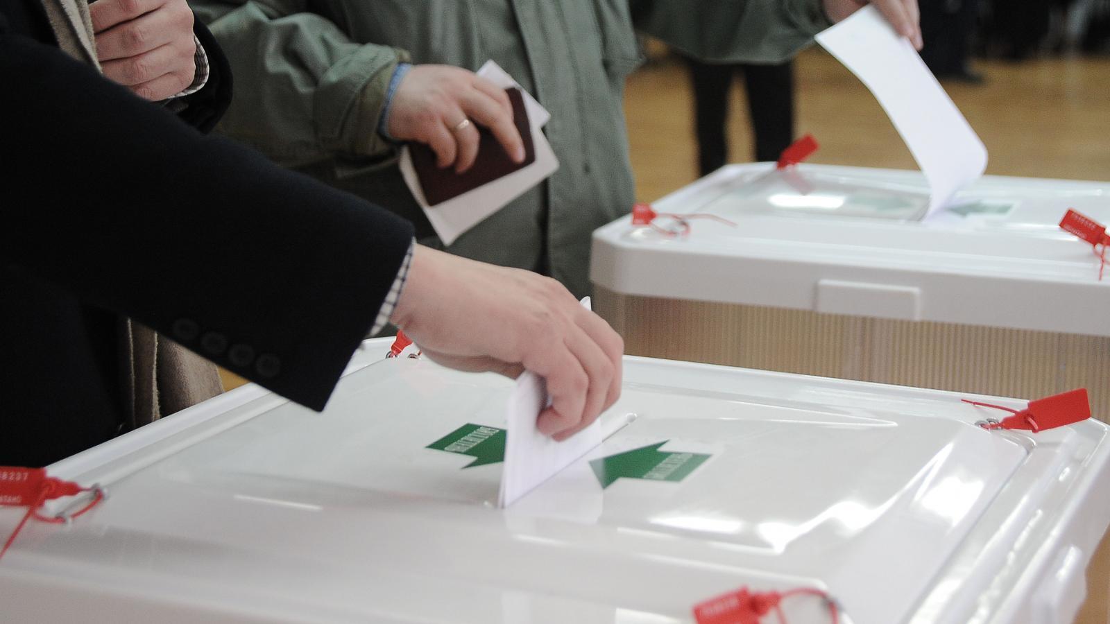 Стали известны районы Вологодской области с самой высокой явкой избирателей на выборах