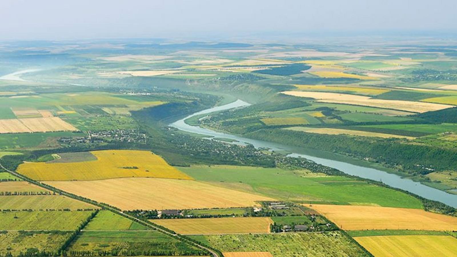 «Вологодский гектар» может захватить и Белозерский район