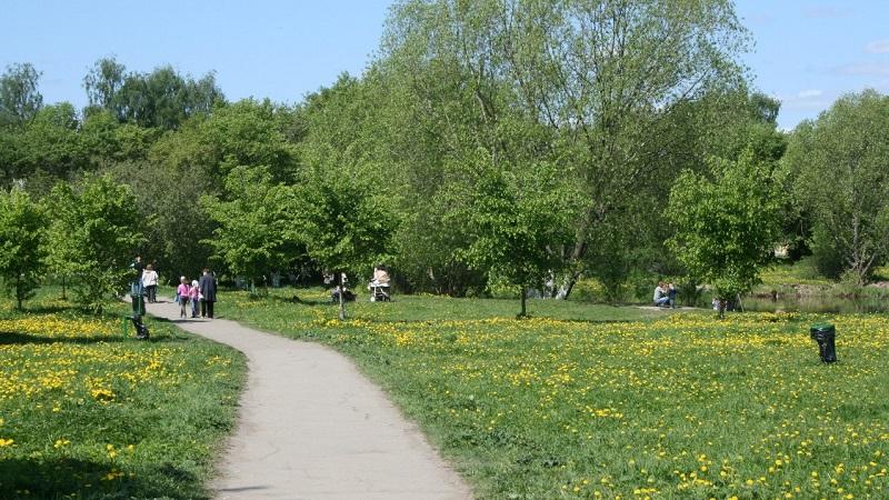В Вологде начали благоустраивать Ковыринский парк