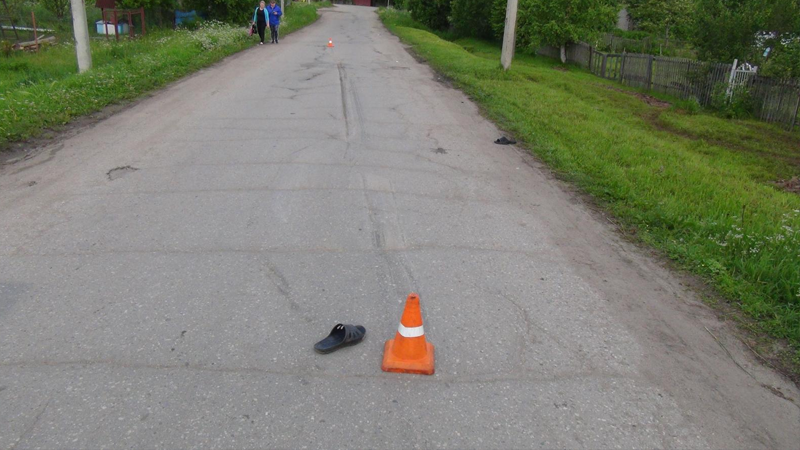 Пьяный водитель сбил пешехода в Шекснинском районе