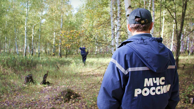 Двое пропавших в лесу мужчин найдены погибшими