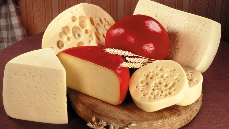 Завод по производству сыров планируют построить в Череповце