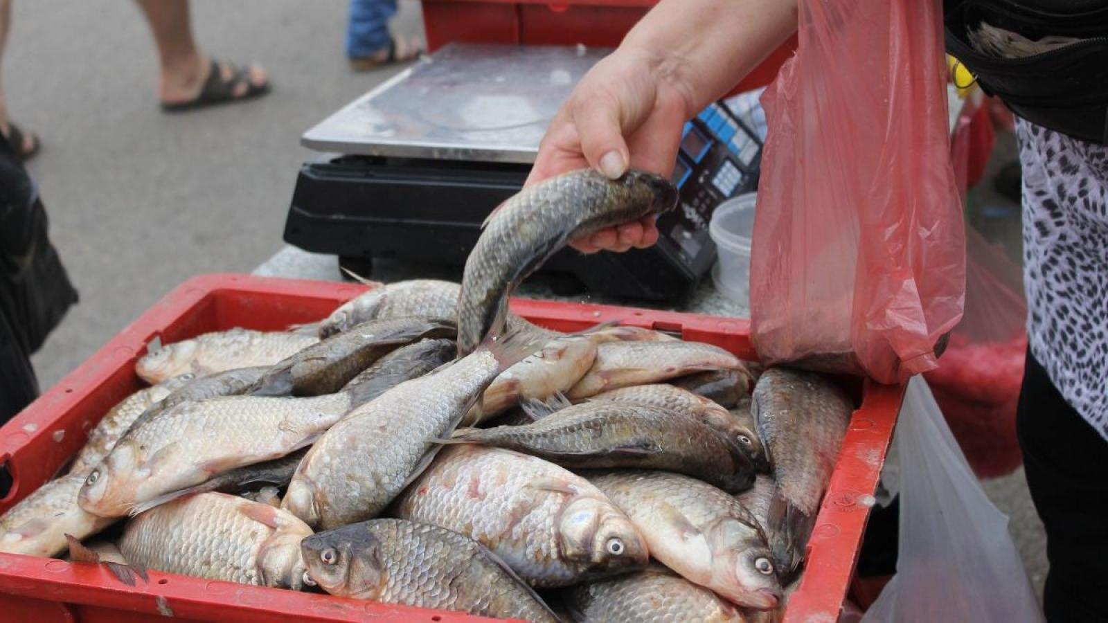 30 кг рыбной продукции изъяли сотрудники вологодского Роспотребнадзора