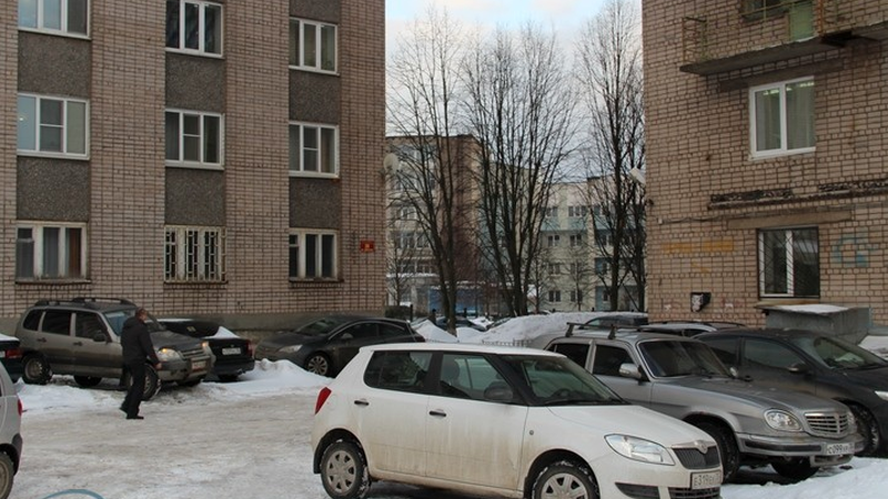 Житель Череповца избил до смерти мужчину за то, что он занял парковочное место