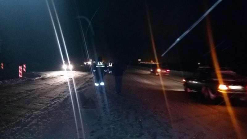 Женщина, которую сбили  на трассе в Череповецком районе, умерла по дороге в больницу