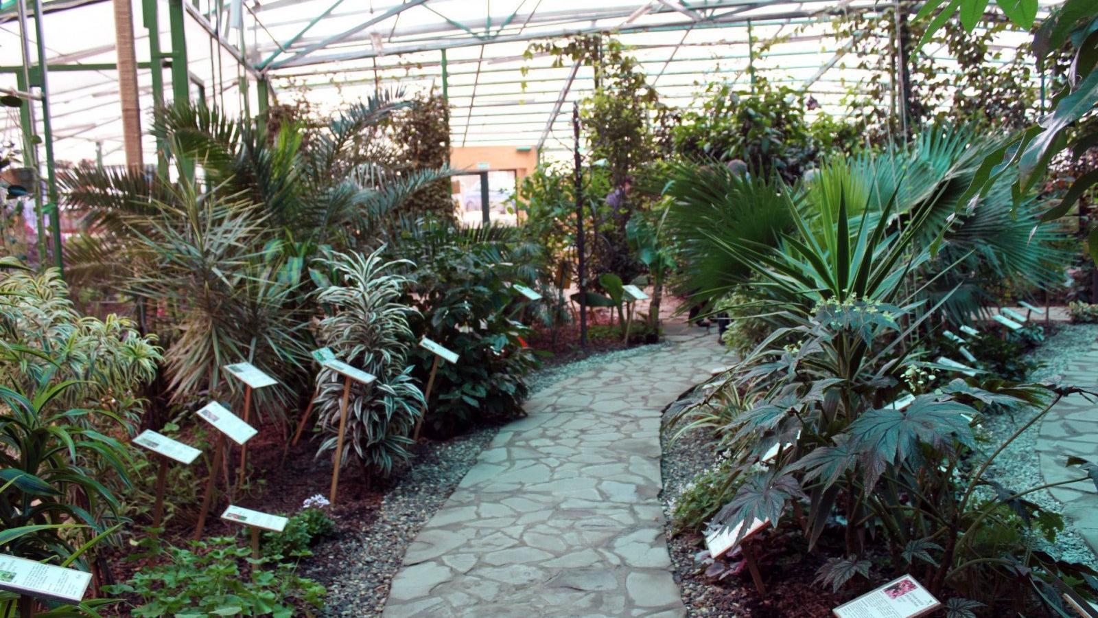 Вологжане смогут посетить Ботанический сад ночью