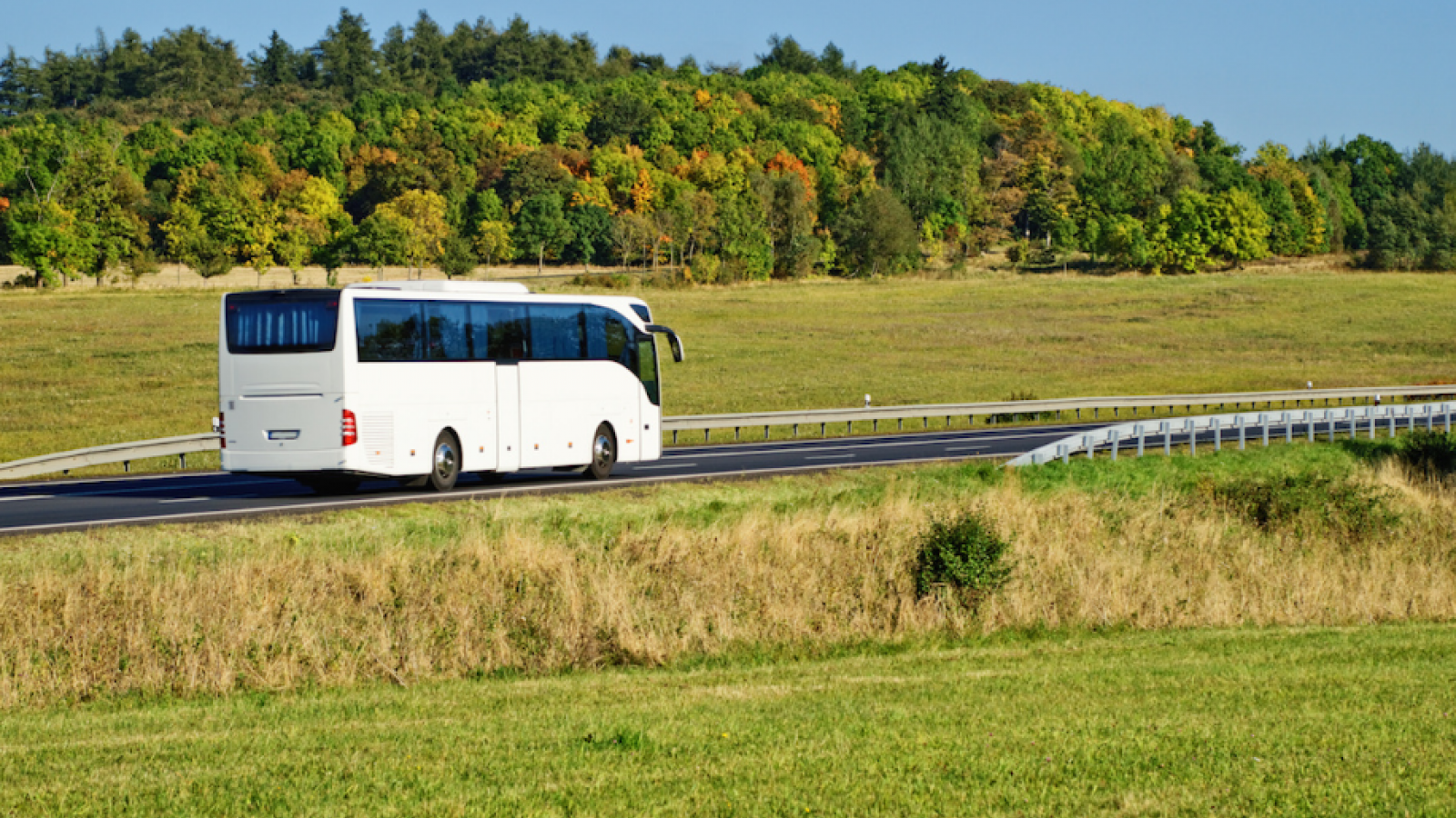 Вологодская область приобретёт 118 автобусов