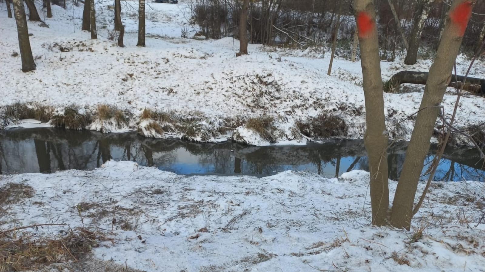 В Вологде строители сбрасывали отходы на берег реки