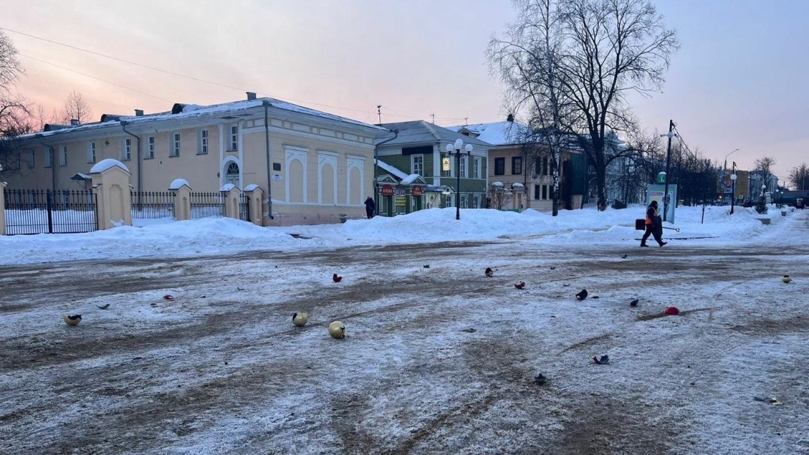 В Вологде вандалы разбили игрушки с новогодней ели