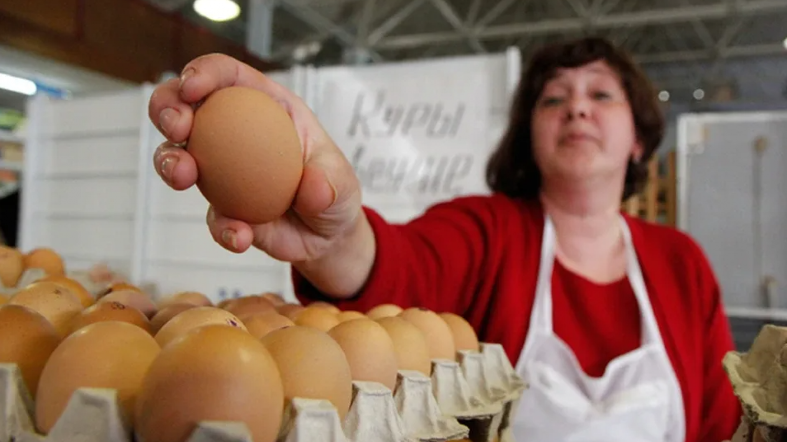 Генпрокуратура проверит рост цен на яйца